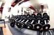tegovi Sport active